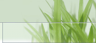 Masthead